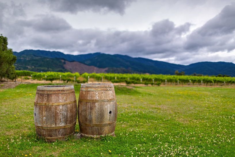Old wine barrels on the vineyard by Yevgen Belich