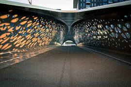 Parkbrug Antwerpen von Rene Van Putten