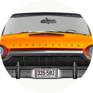 Ford Thunderbird Flair Vogel