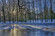 Winter in Park Sonsbeek van Frans Blok thumbnail