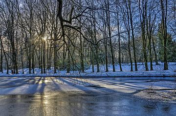 Winter in Sonsbeek Park  von Frans Blok