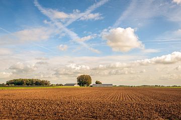 View over a winterised field, Hank