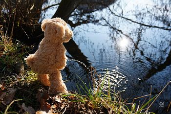 Lustiger Bär, der schelmisch pinkelt.