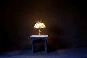 Lamp by marleen brauers