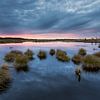Swamp Sunset van Rob Christiaans