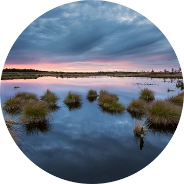 Swamp Sunset van Rob Christiaans