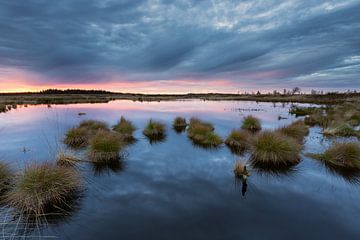Sumpf-Sonnenuntergang von Rob Christiaans