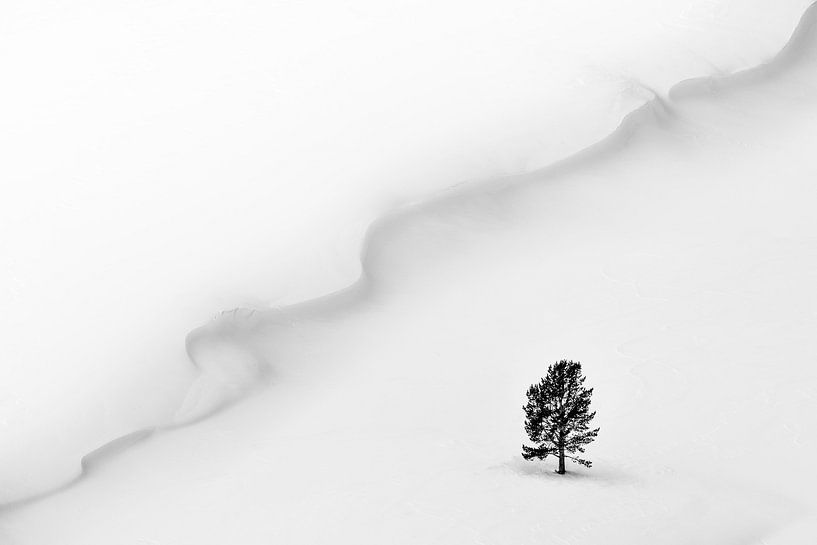 The wave by Nicoletta Muscas