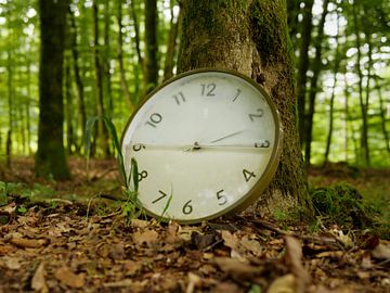Horloge dans la forêt 3 sur Jörg Hausmann