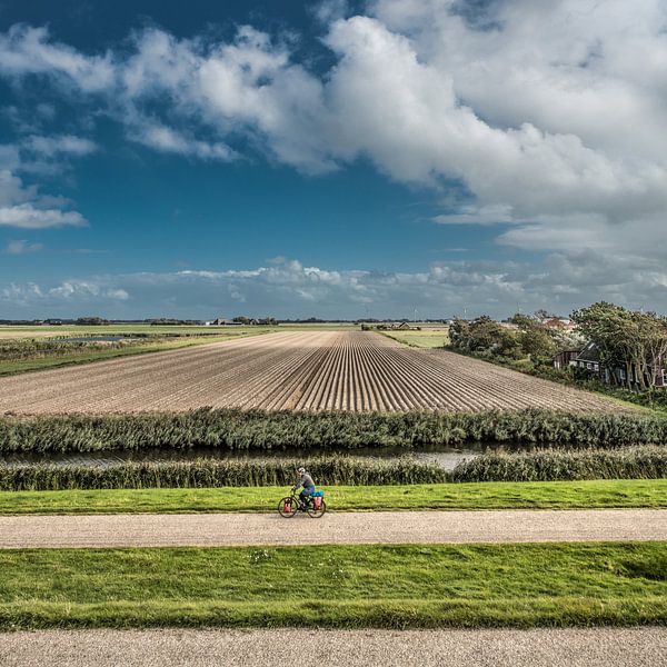 Landschap vlak onder de Waddendijk nabij Harlingen van Harrie Muis