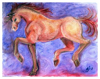 Droompaard
