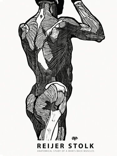 Reijer Stolk - Anatomical Study of a Man 03