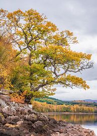 Herbstfarben am Loch Garry von Ben De Winter
