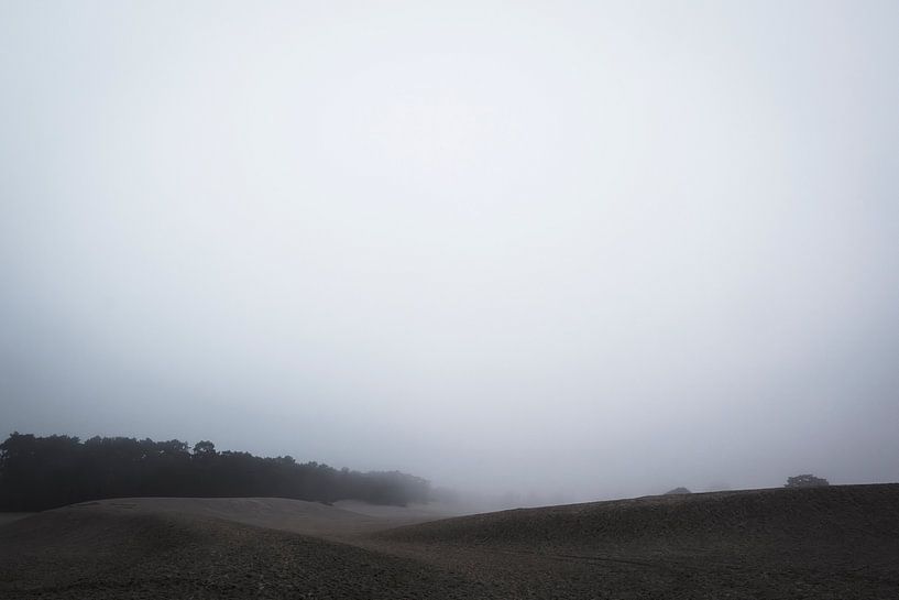 Soesterduinen by Eddy Westdijk