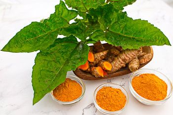 Poudre de curcuma et tubercules