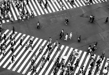 We’re all out and about and meet up at the zebra crossing