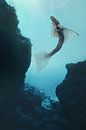 Mermaid in black by Elianne van Turennout thumbnail