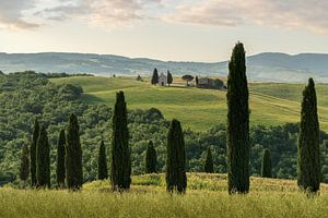 Bella Toscana