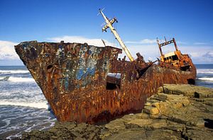 Shipwreck Transkei van Richard Wareham