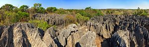 Tsingy de Bemaraha Panorama