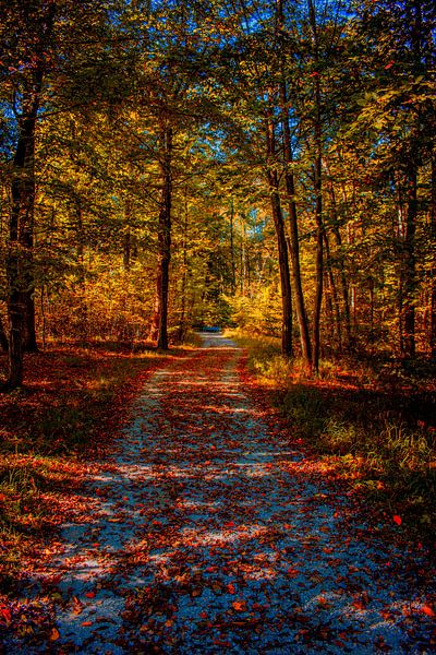 Schloßgarten Nymphenburg : Herbstliche Stimmung von Photoart-Naegele