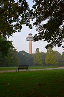 Empty bench in abandoned park in Rotterdam with view on the Euromast