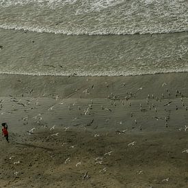 Een eenzame vissersvrouw op het strand von WeLeaf (Zoë & Olivier)