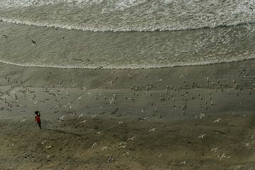 Een eenzame vissersvrouw op het strand van WeLeaf (Zoë & Olivier)