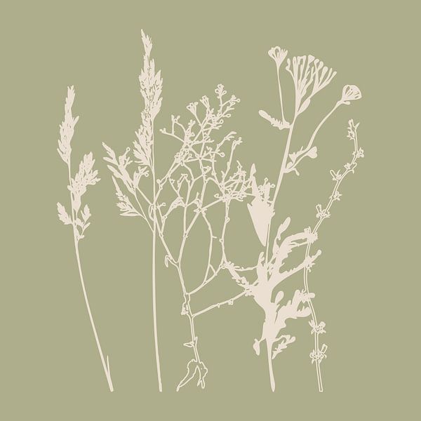 Zomerbloemen en grassen in wit en salie V van Dina Dankers