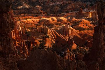 Bryce is nice by Martin Podt