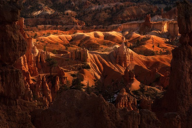 Bryce est sympa par Martin Podt
