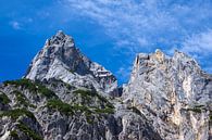 Blick auf die Mühlsturzhörner im Berchtesgadener Land von Rico Ködder Miniaturansicht