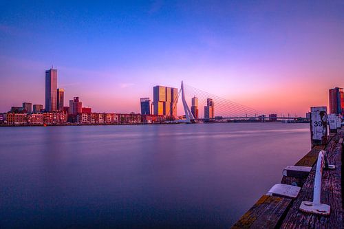Rotterdam cityscape with Erasmus Bridge at sunset
