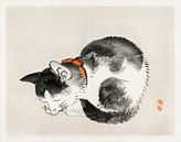 Slapende kat door Kōno Bairei (1844-1895). van Studio POPPY thumbnail