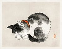 Schlafende Katze von Kōno Bairei (1844-1895).