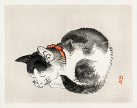 Sleeping cat by Kōno Bairei (1844-1895). by Studio POPPY