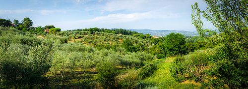 toscaans landschap van Thomas van Houten