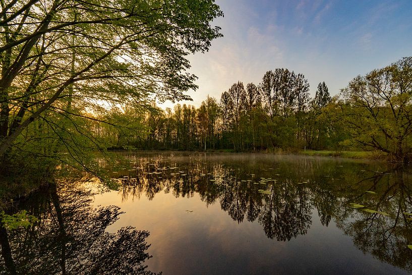 Krekenlandschap van Sam Mannaerts