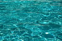 cool in the pool