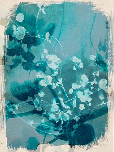 In the eyes of Alice van RAR Kramer - Visual poet