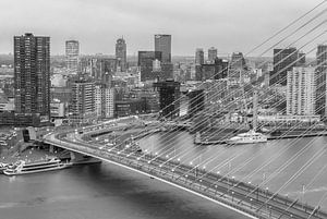 Rotterdam von oben