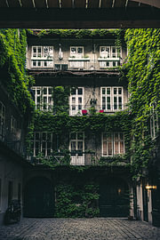 The Amazing Inner Courtyard by Jonas Röjestål