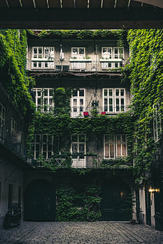 The Amazing Inner Courtyard