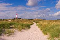  Strandweg - Insel Amrum von AD DESIGN Photo & PhotoArt Miniaturansicht
