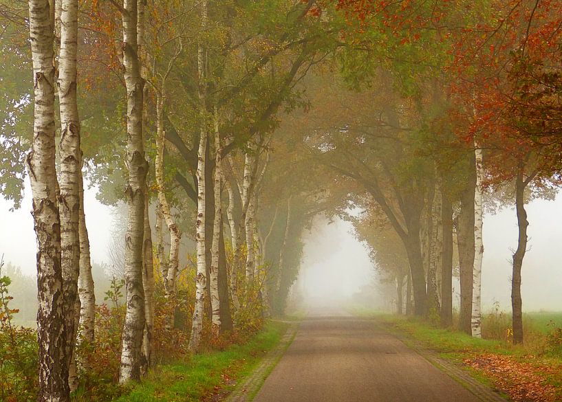Landweg in Herfsttooi van Caroline Lichthart