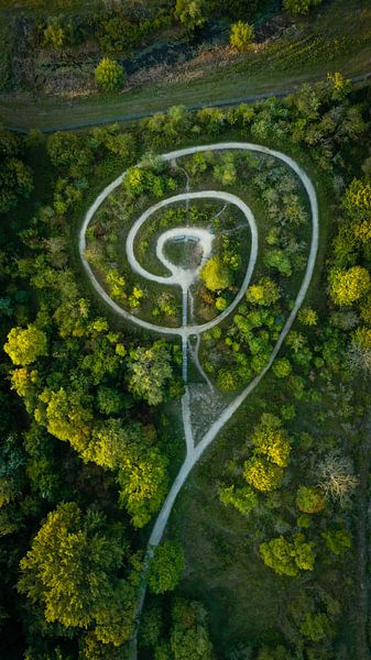Nummer 9 in der Natur von Sebastiaan van der Ham