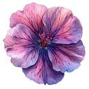 Dianthus Delight by Chromatic Fusion Studio thumbnail