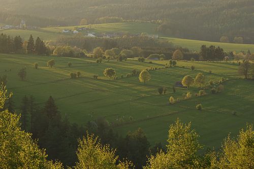 Linien in der Landschaft