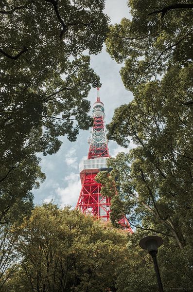 Tokyo Tower by Hello Pompoyo