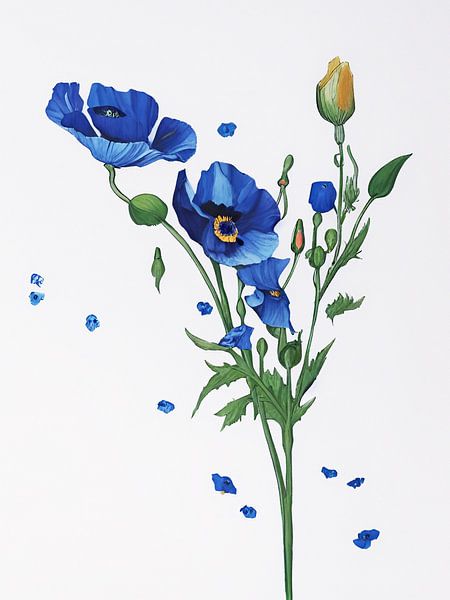 PAPAVRE BLEU par Kelly Durieu